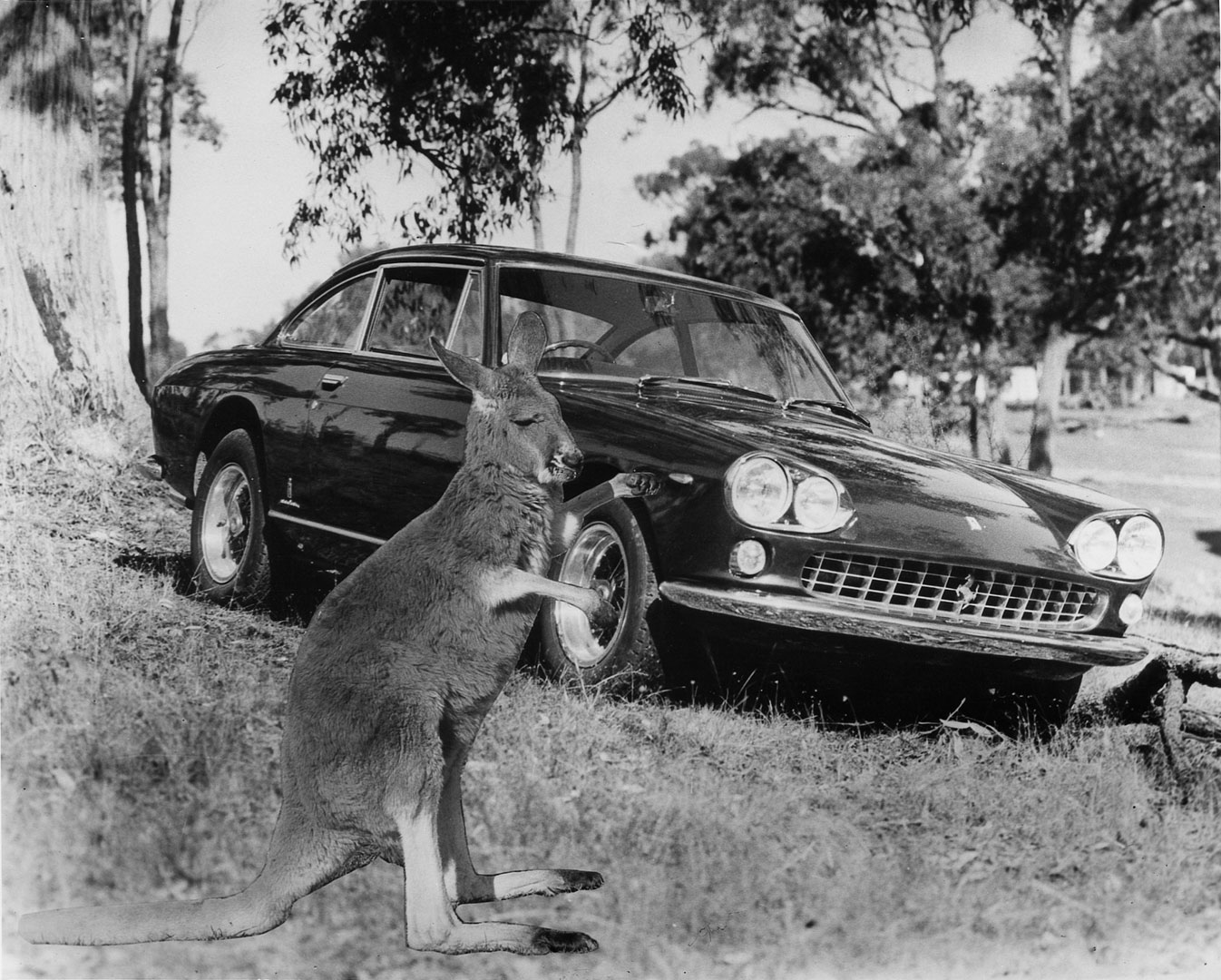 Ferrari 330 GT 2+2 - design